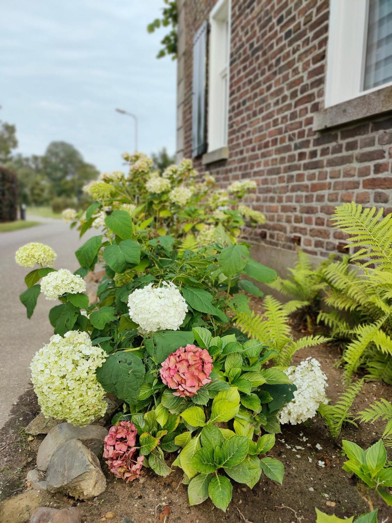 B&B In De Roos Lottum Exterior foto